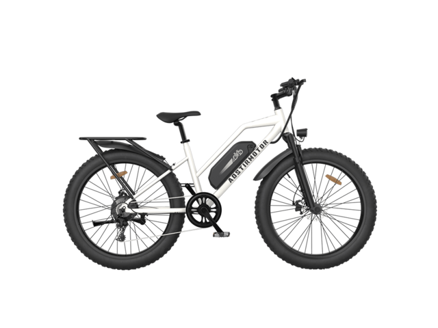 Aostirmotor Unisex City Commuter Ebike S07-G